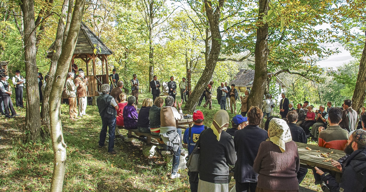 Kikaparnák a gesztenyét